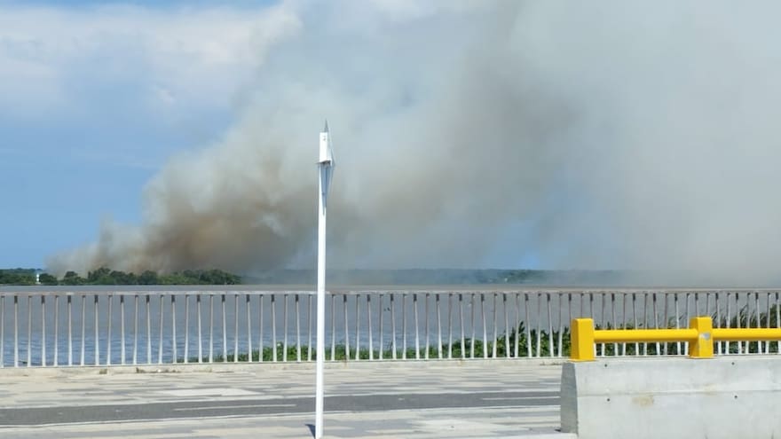 Otra vez hay quemas en el Parque Isla Salamanca