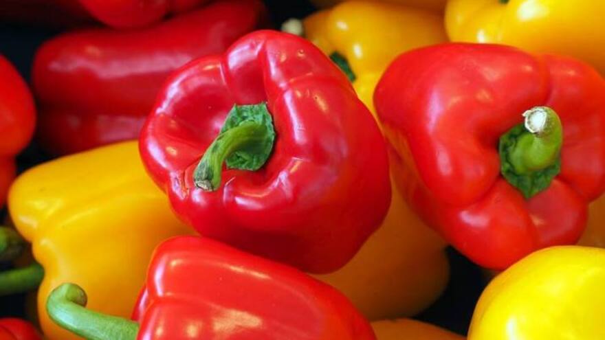 Exportan primer contenedor con pimentón hacia Estados Unidos