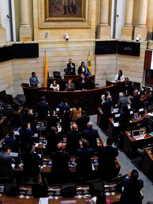 Casi mentecatos útiles: verdad de una detención