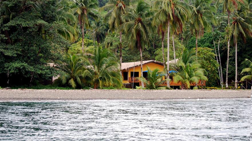 Cuarentena en el Parque Nacional Natural Gorgona por muerte de 57 pelícanos por gripe aviar