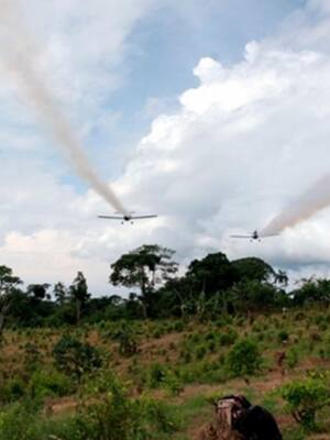 Pilares de la seguridad