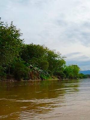 Magdalena, el río | Columna de Hernando Baquero Latorre
