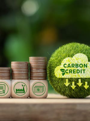 Los pecados de los Bonos de Carbono