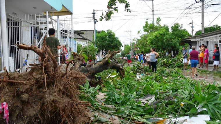 Viviendas destechadas y árboles caídos por fuertes vientos en Nuevo Milenio, Soledad
