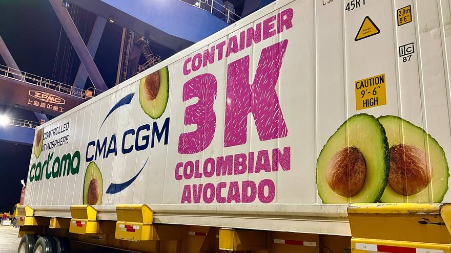 El aguacate hass colombiano, otra estrella en el Super Bowl