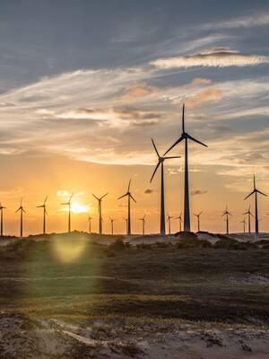 La nueva bonanza | Columna de Hernán Baquero Bracho