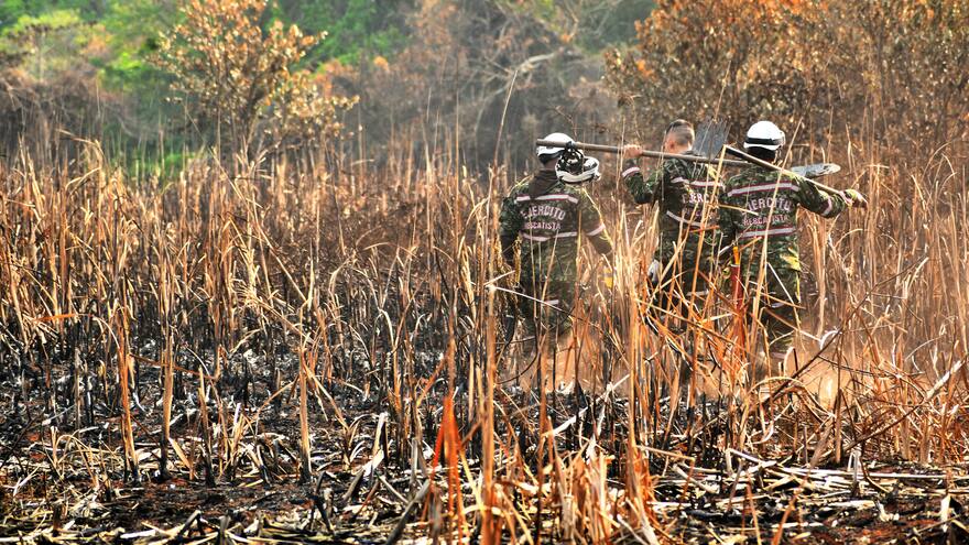 Tribunal de Barranquilla tramita posible desacato a la protección de Isla Salamanca