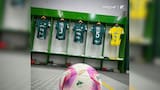 Supersociedades aprueba acuerdo de reestructuración del Deportivo Cali: conozca la deuda del equipo