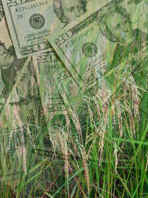 Es la competitividad, estúpido