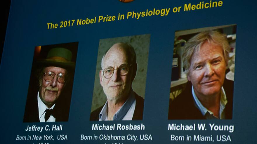 Por reloj biológico, tres investigadores reciben Premio Nobel de Medicina