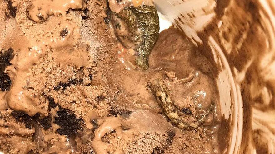 Encuentran una lagartija dentro de un tarro de helado en Barranquilla