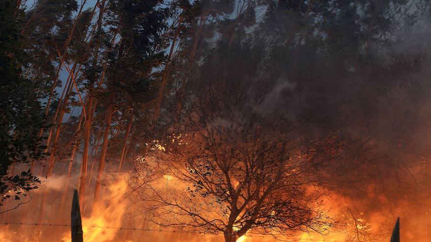 OMS avisa de que el calor extremo desencadena todo tipo de enfermedades