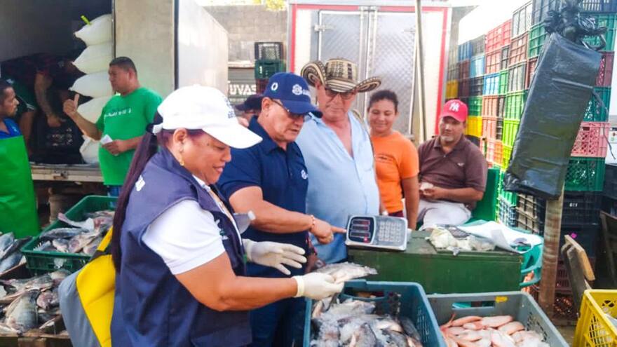 Activan controles de precios de pescados y mariscos en la ciudad