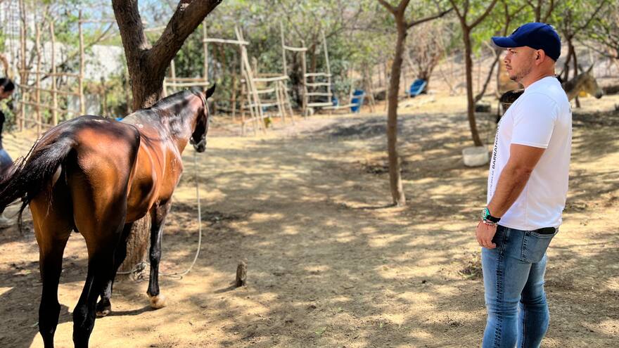 Equinos rescatados buscan hogar para que vivan en condiciones dignas