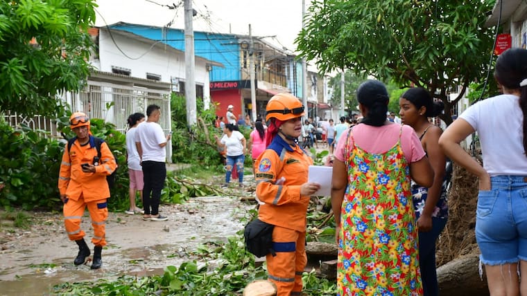Viviendas destechadas y árboles caídos por fuertes vientos en Nuevo Milenio, Soledad