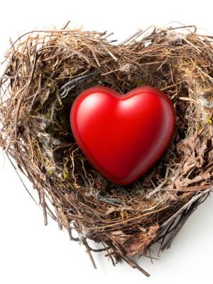 El parlamento de las aves | Columna de Yamid Amat Serna