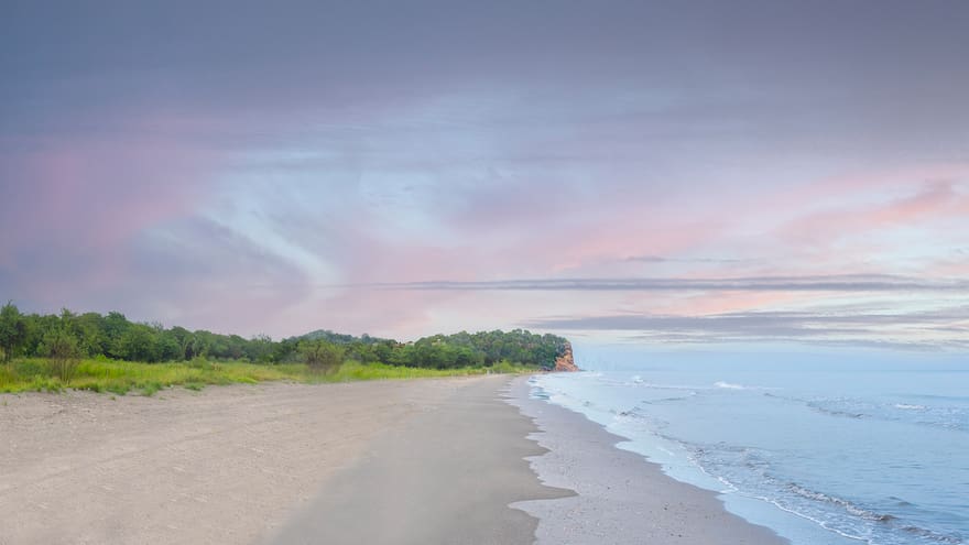 Un oasis viviente, inspirado en los colores y formas del mar