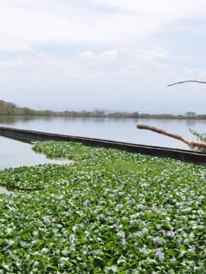 El agua, con más de un uso | Columna de Carlos Eduardo Correa