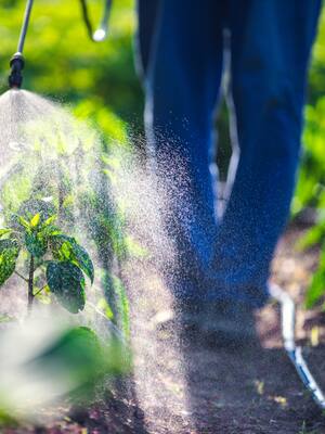 Se ve crítico el futuro de los alimentos | Columna de Amat Zuluaga