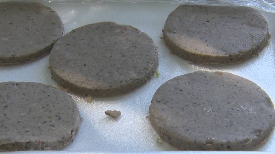 Estudiantes de Unicórdoba inventan carne de fríjol cabecita negra para hamburguesas