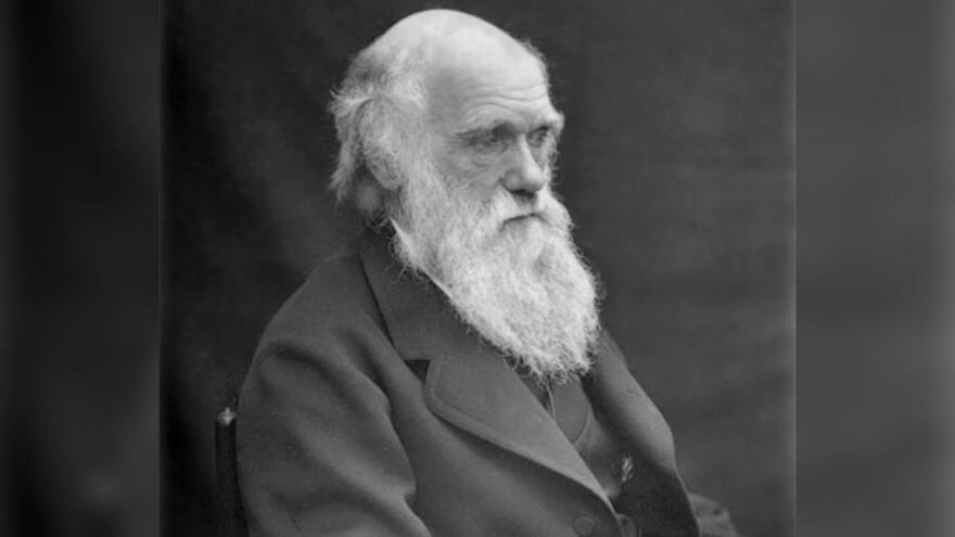 Día de Charles Darwin: ¿Por qué se celebra el 12 de febrero?