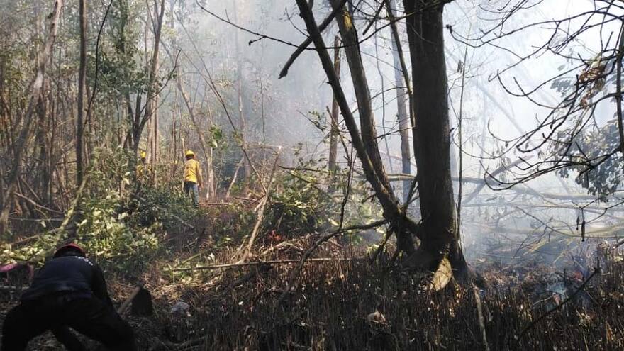 Controlan incendios forestales en Sitionuevo, Magdalena