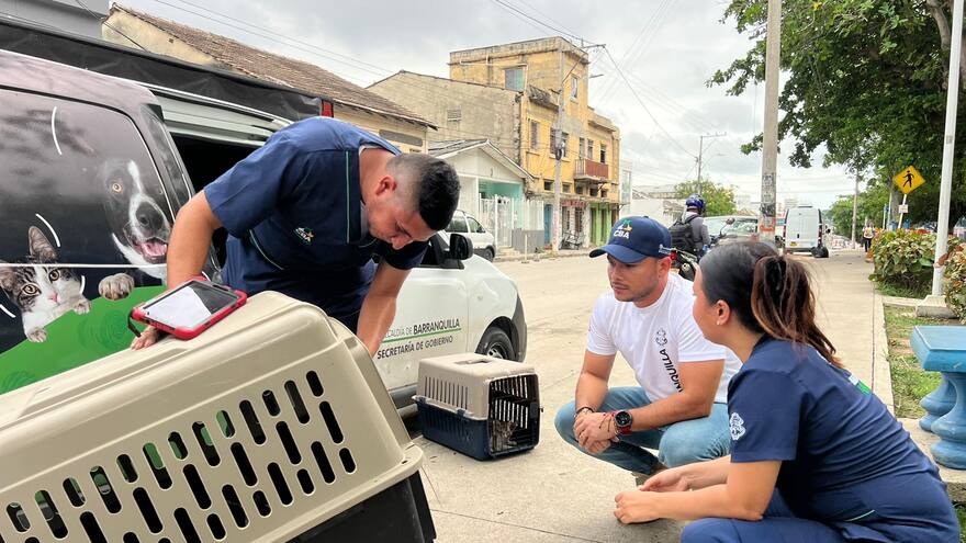 En Barranquilla Bienestar Animal realiza jornadas de atención a mascotas en condición de abandono