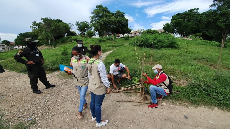 Denuncian tala de árboles en un barrio de Cartagena