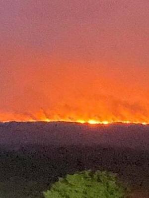 Deforestación: una tragedia ambiental