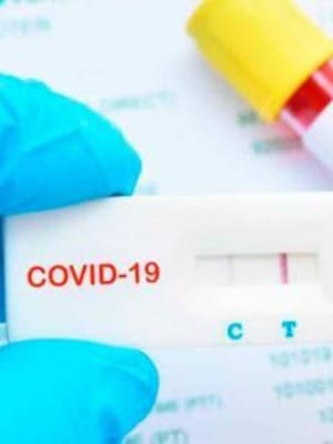 Covid, damajuana, negocio