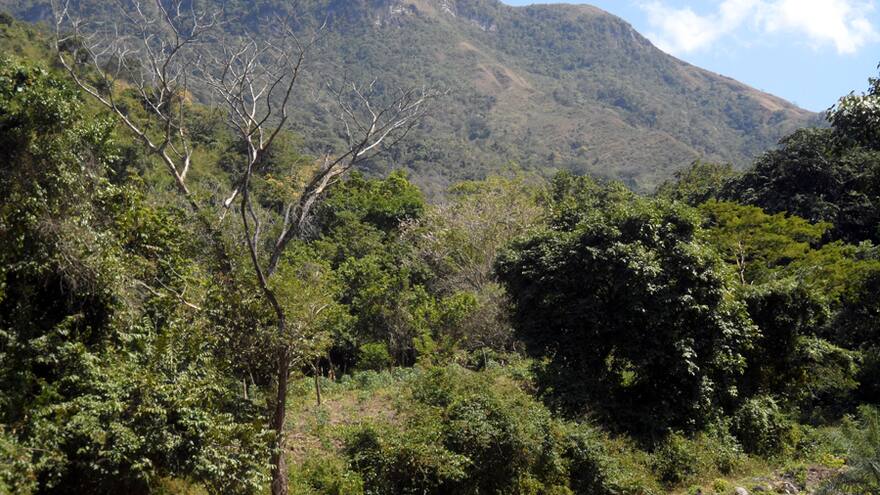 Cariachil, el pueblo indígena desconocido de La Guajira