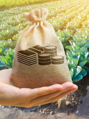 Los perversos subsidios al agro