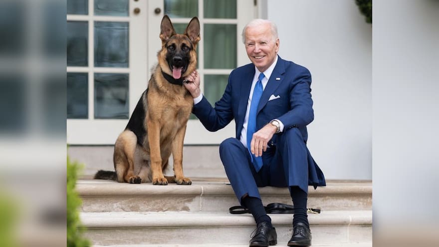 Expulsan al perro de los Biden de la Casa Blanca por morder a varios agentes
