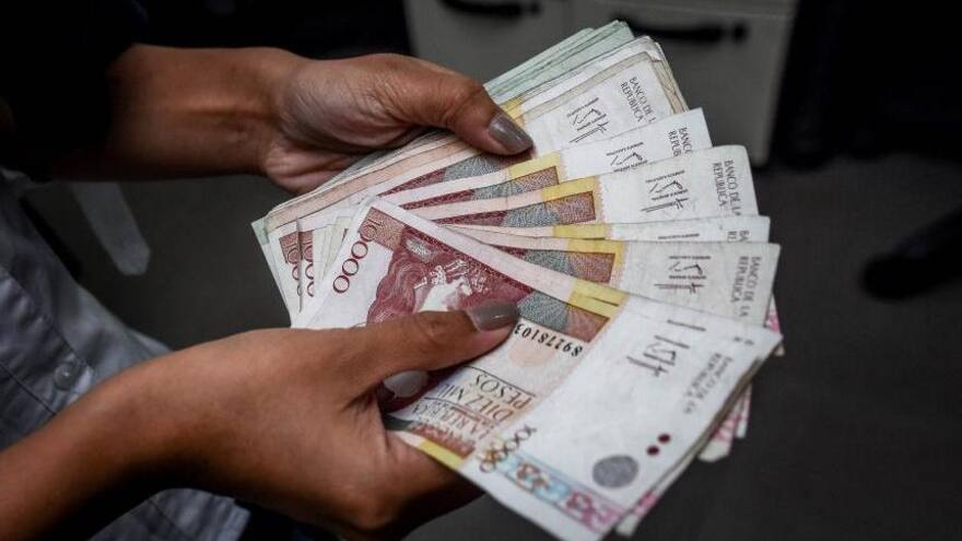 DIAN amplió fecha límite para actualización de actividades en el RUT