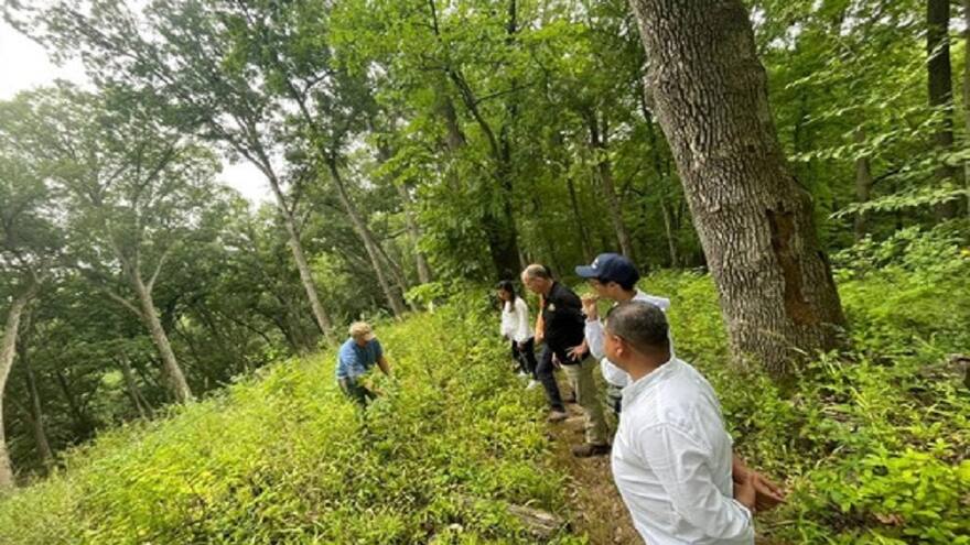 Estudiante de IUB se capacita en USA para inventario de siembra urbana