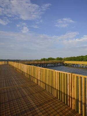 La contrarrevolución ecológica de Mallorquín | Columna de Horacio Brieva