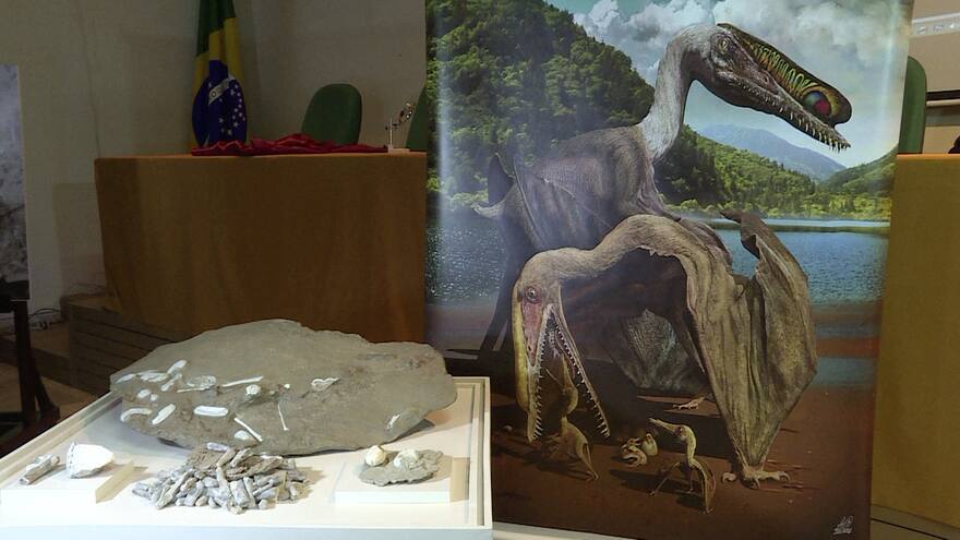 Hallazgo científico: fósiles revelan secretos del primer vertebrado volador