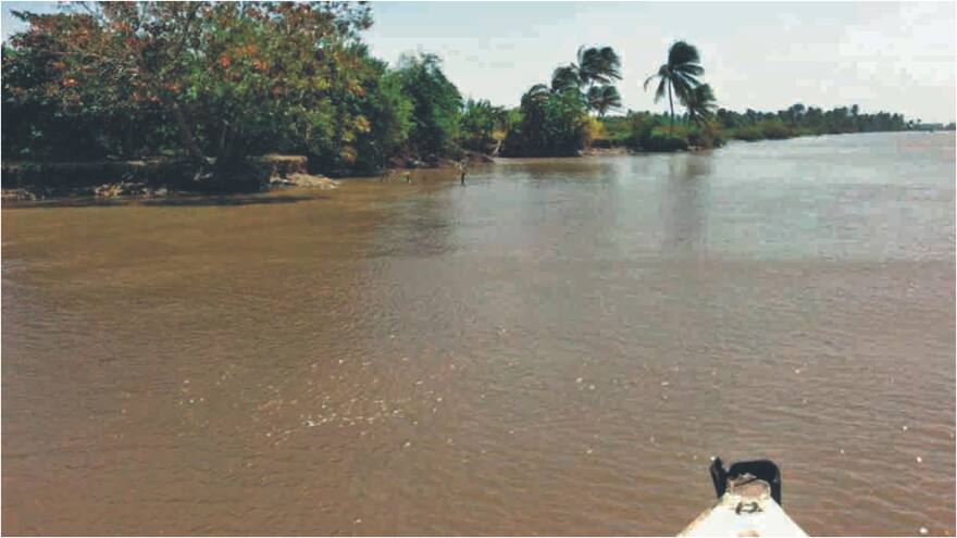 Metales pesados están envenenando los peces del río Cauca