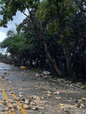 Más allá de la emergencia