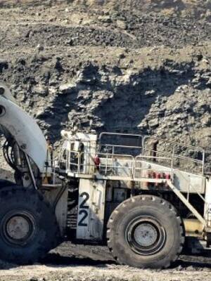 ¿Inteligentes, incautos, malvados, estúpidos? | Columna de Ricardo Plata Cepeda