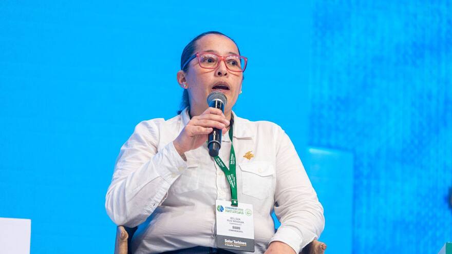 Viceministra de Energía confirmó que no habrá más exploración ni explotación de hidrocarburos en Colombia