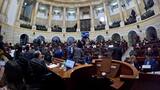 La muenda a Petro en el Senado