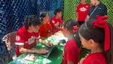 Los niños también deciden desde las Zooelecciones 2026