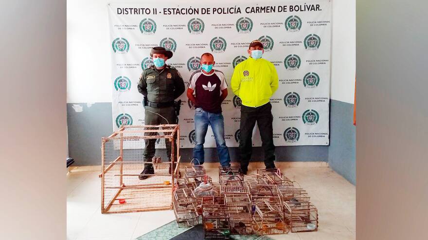 Lo capturan con 50 aves silvestres en El Carmen de Bolívar
