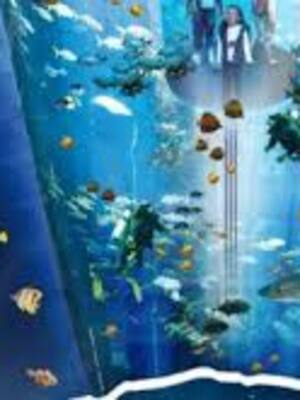 El acuario de Berlín | Columna de Manuel Moreno Slagter