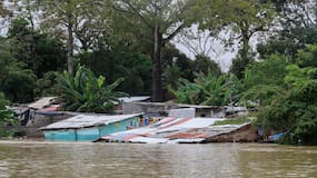 Inundaciones en Córdoba dejan más de 4.000 reses muertas: ¿subirá el precio de la carne?