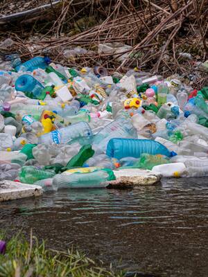 Arroyos de basura | Columna de Manuel Moreno Slagter