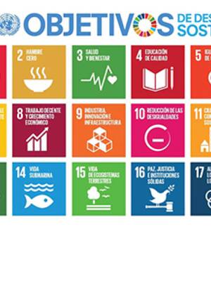 Replantear las Metas ODS