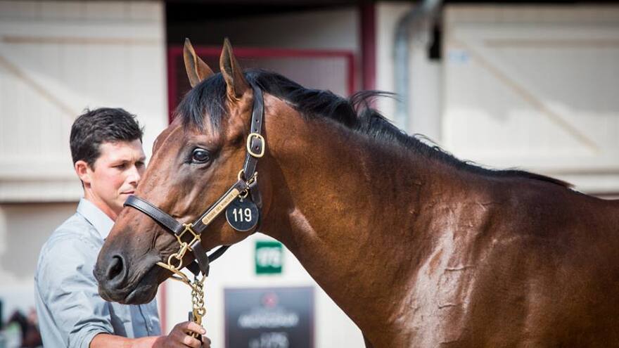 El emir de Dubai paga 2,6 millones de euros por un purasangre británico