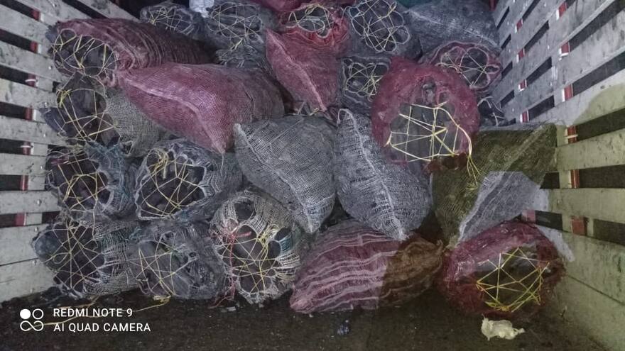 Cae hombre con 60 bultos de carbón vegetal que transportaba ilegalmente